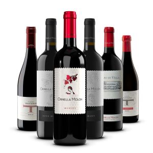 Confezione 6 vini I Merlot - Ornella Molon